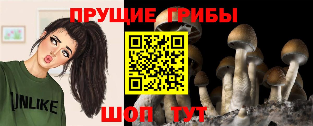 продажа наркотиков  Галлюциногенные грибы мицелий  Вход с VPN  Анжеро-Судженск 